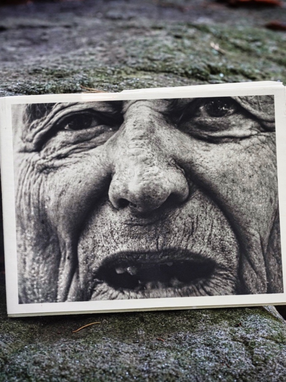 Scalandrê by Marco Zanella – First Edition of 800 – July 2021 – Photography Book